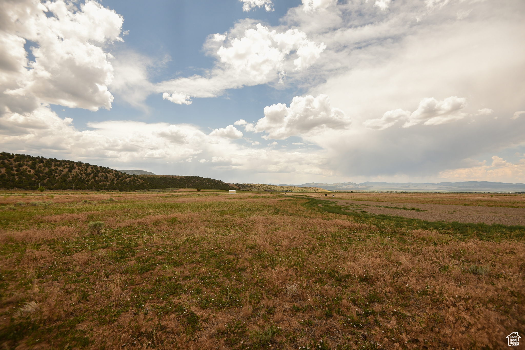 MINERAL VIEW ESTATES - Land