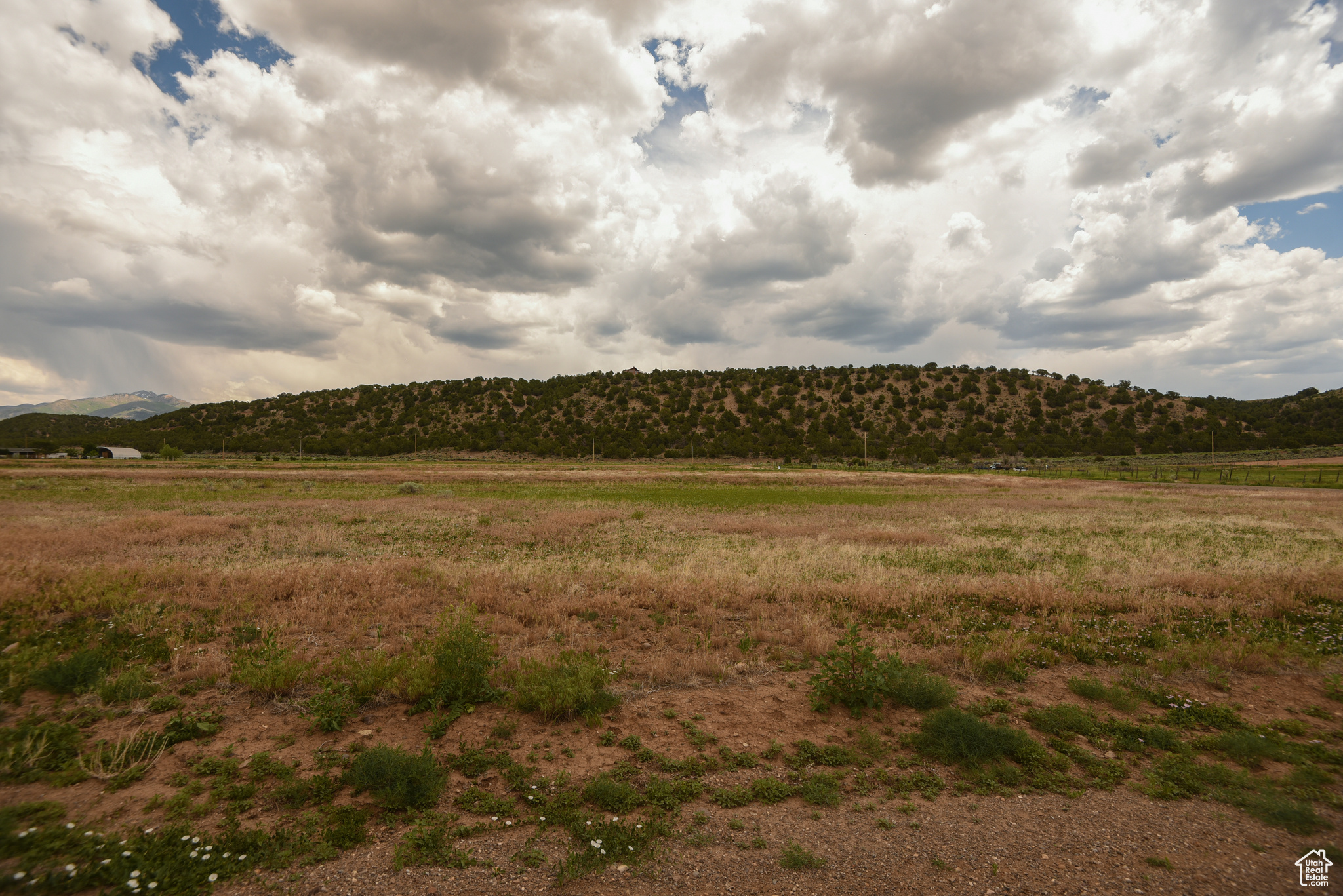 MINERAL VIEW ESTATES - Land