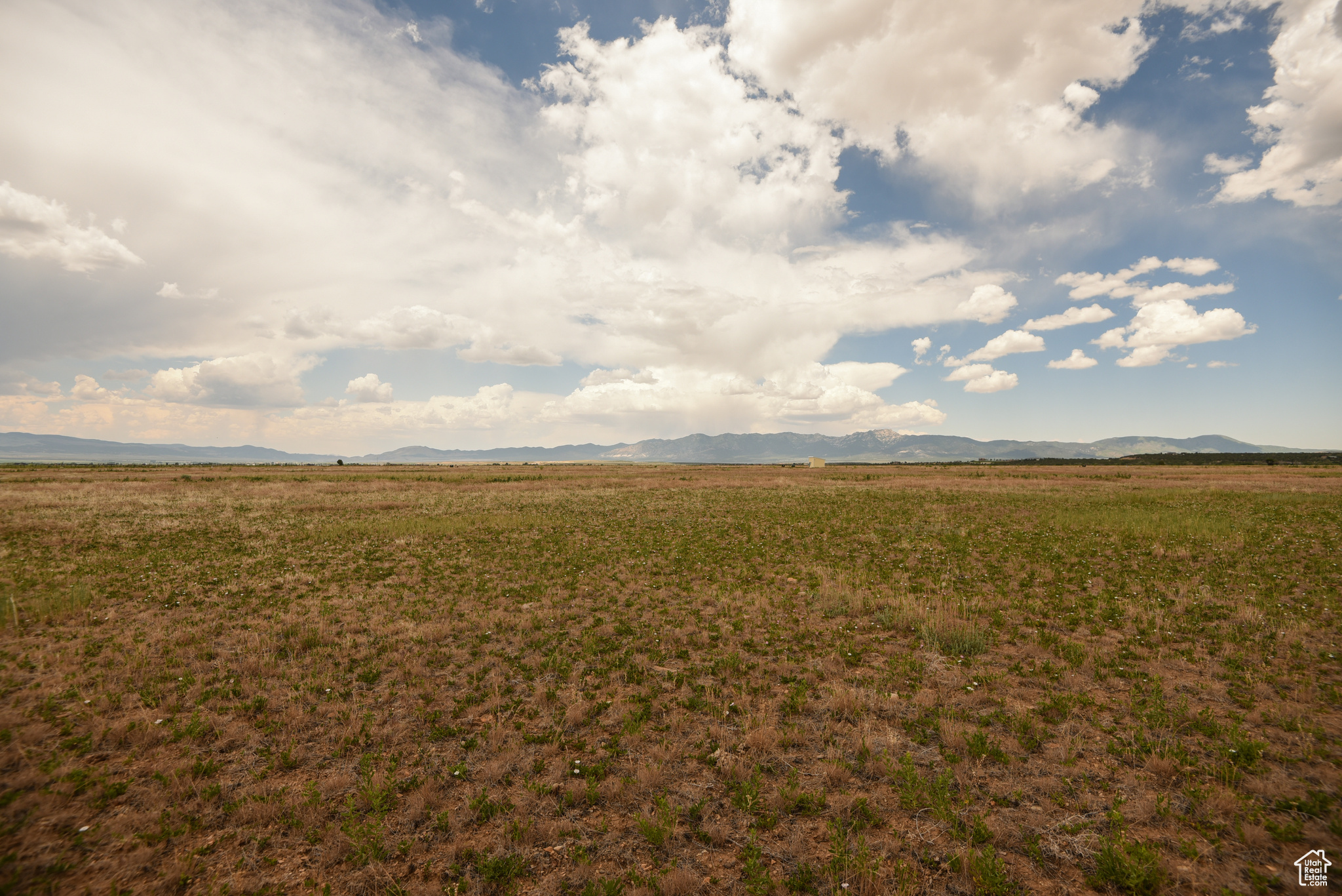 MINERAL VIEW ESTATES - Land