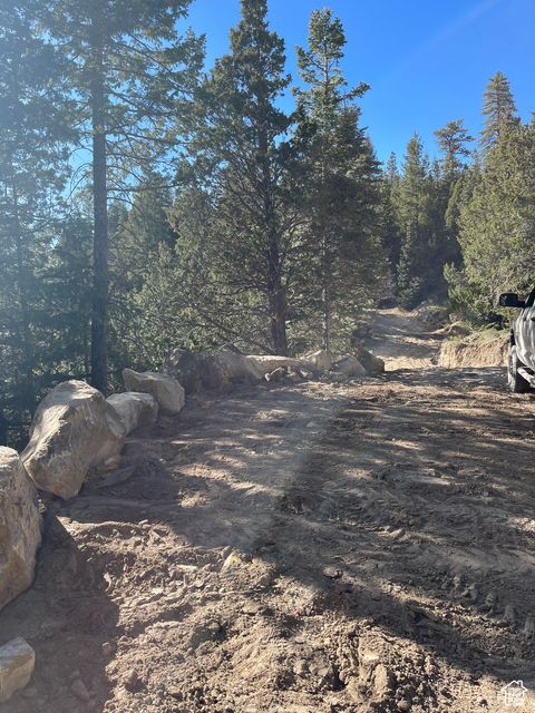 Vacant Land For Sale - 4330 N Blackfoot Dr<br/> Alton, UT 84710