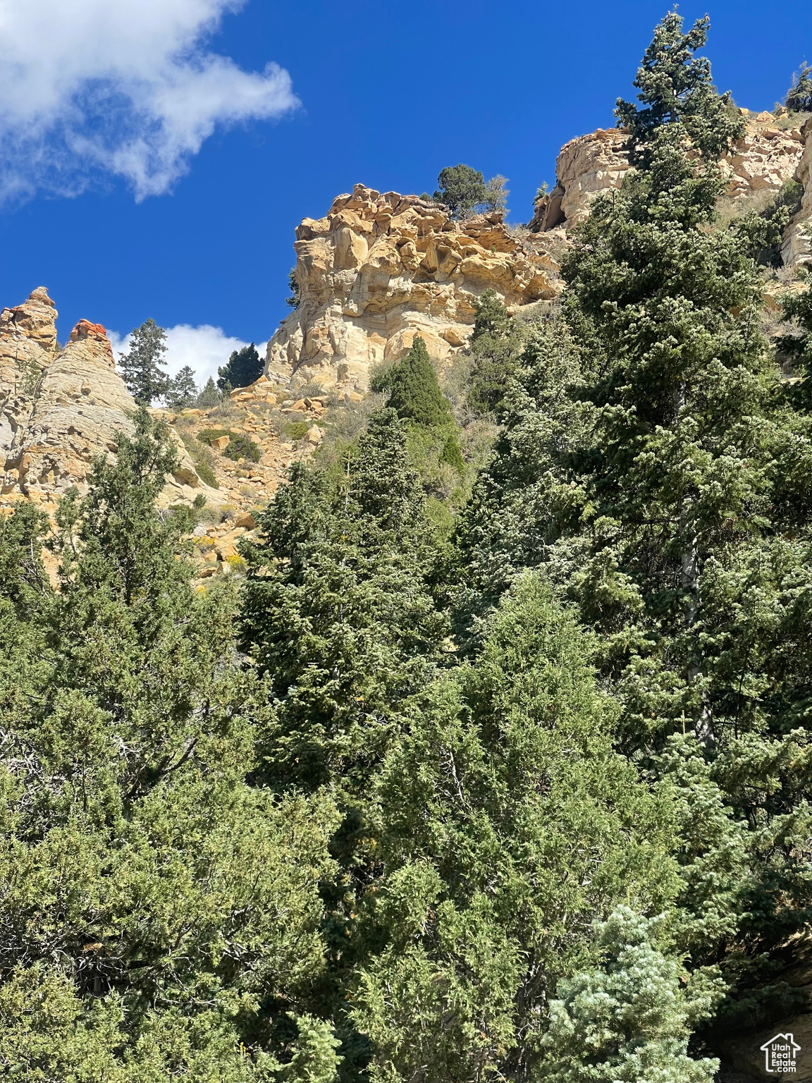 ASPEN MEADOW ESTATES - Land