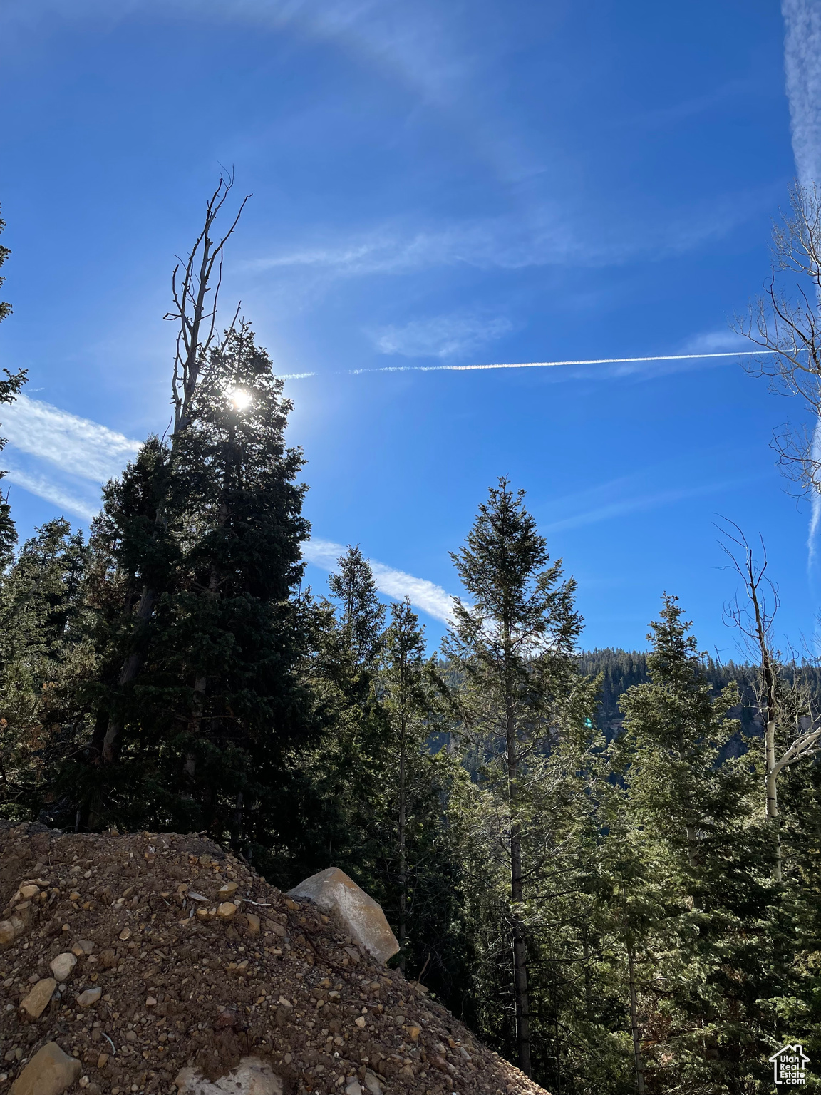 ASPEN MEADOW ESTATES - Land