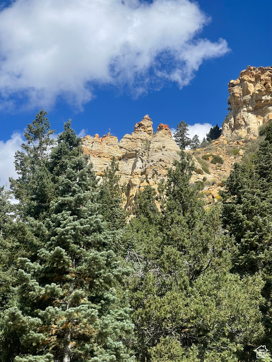 ASPEN MEADOW ESTATES - Land