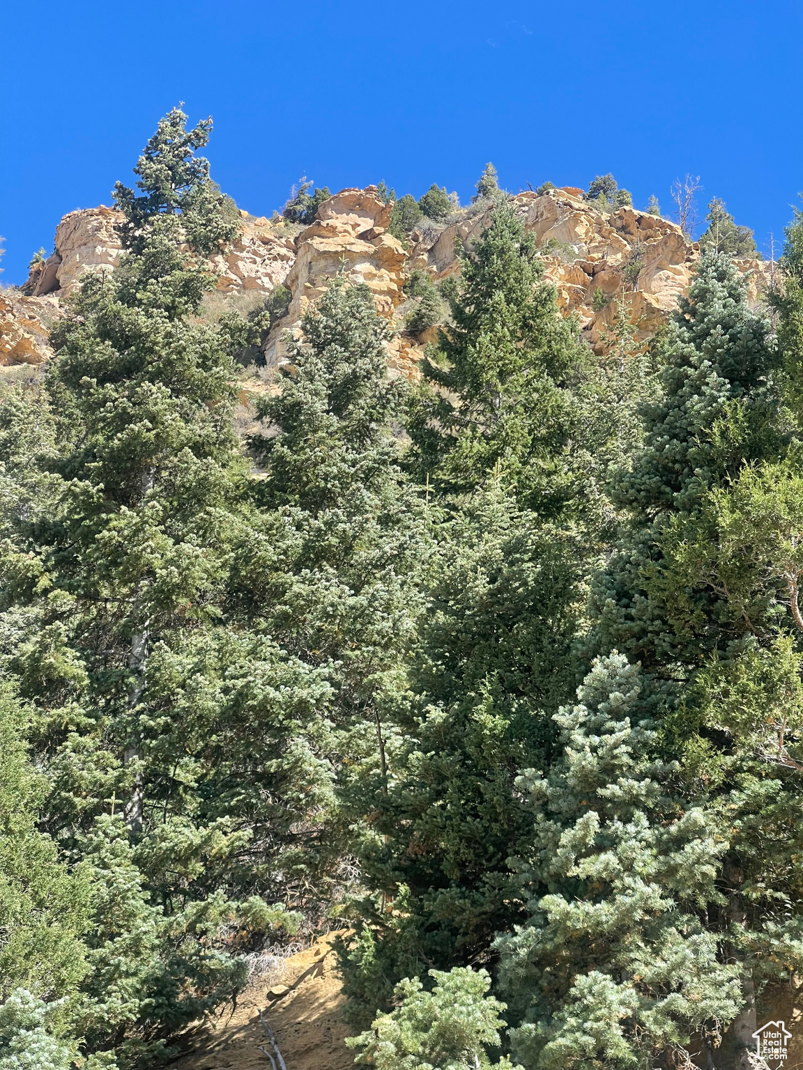 ASPEN MEADOW ESTATES - Land