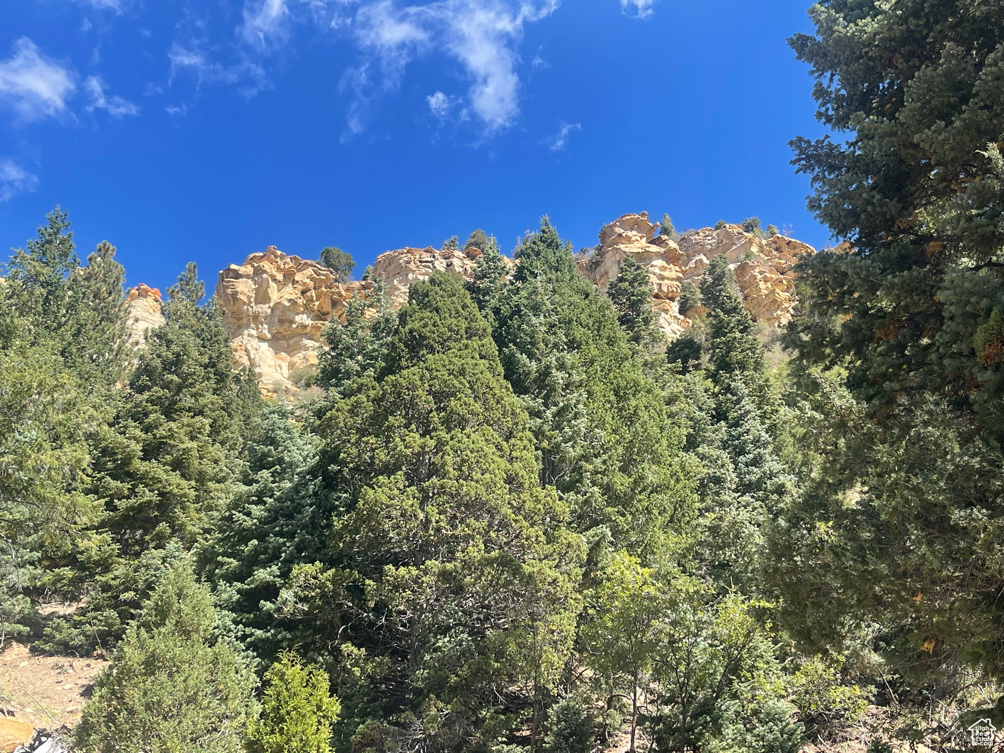 ASPEN MEADOW ESTATES - Land