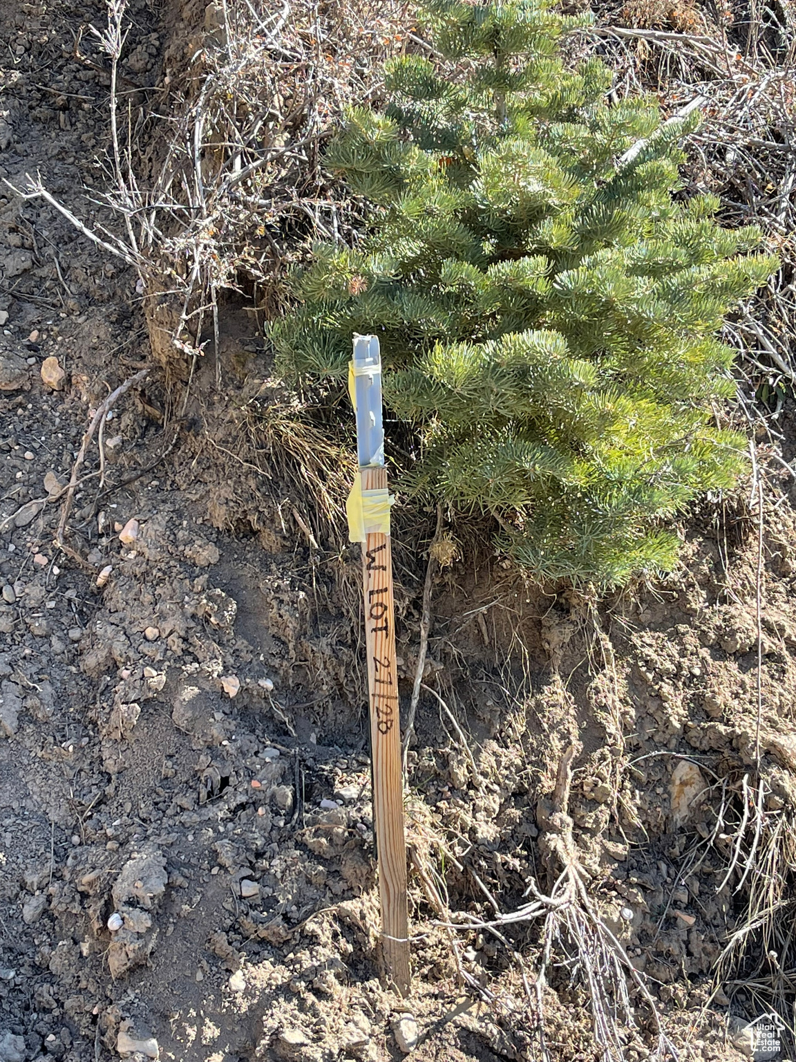 ASPEN MEADOW ESTATES - Land