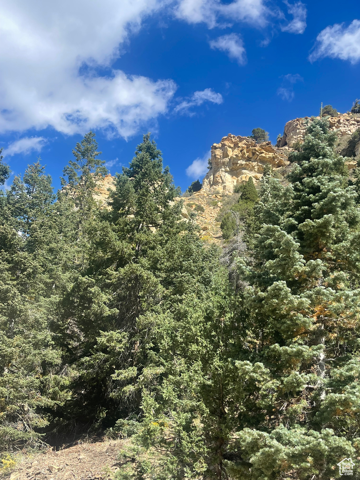 ASPEN MEADOW ESTATES - Land