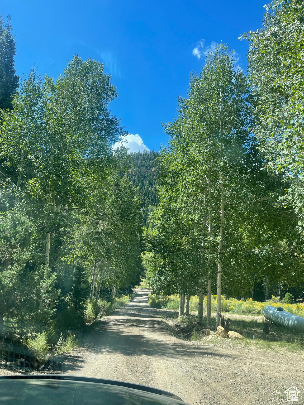 ASPEN MEADOW ESTATES - Land