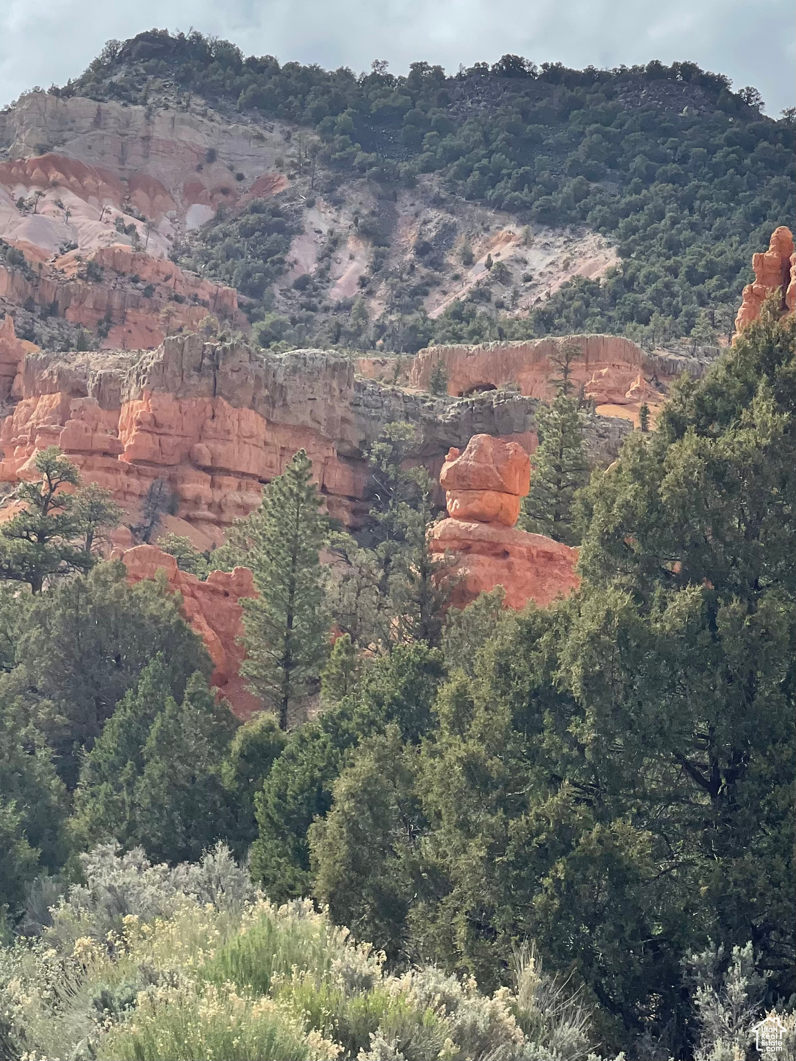 ASPEN MEADOW ESTATES - Land