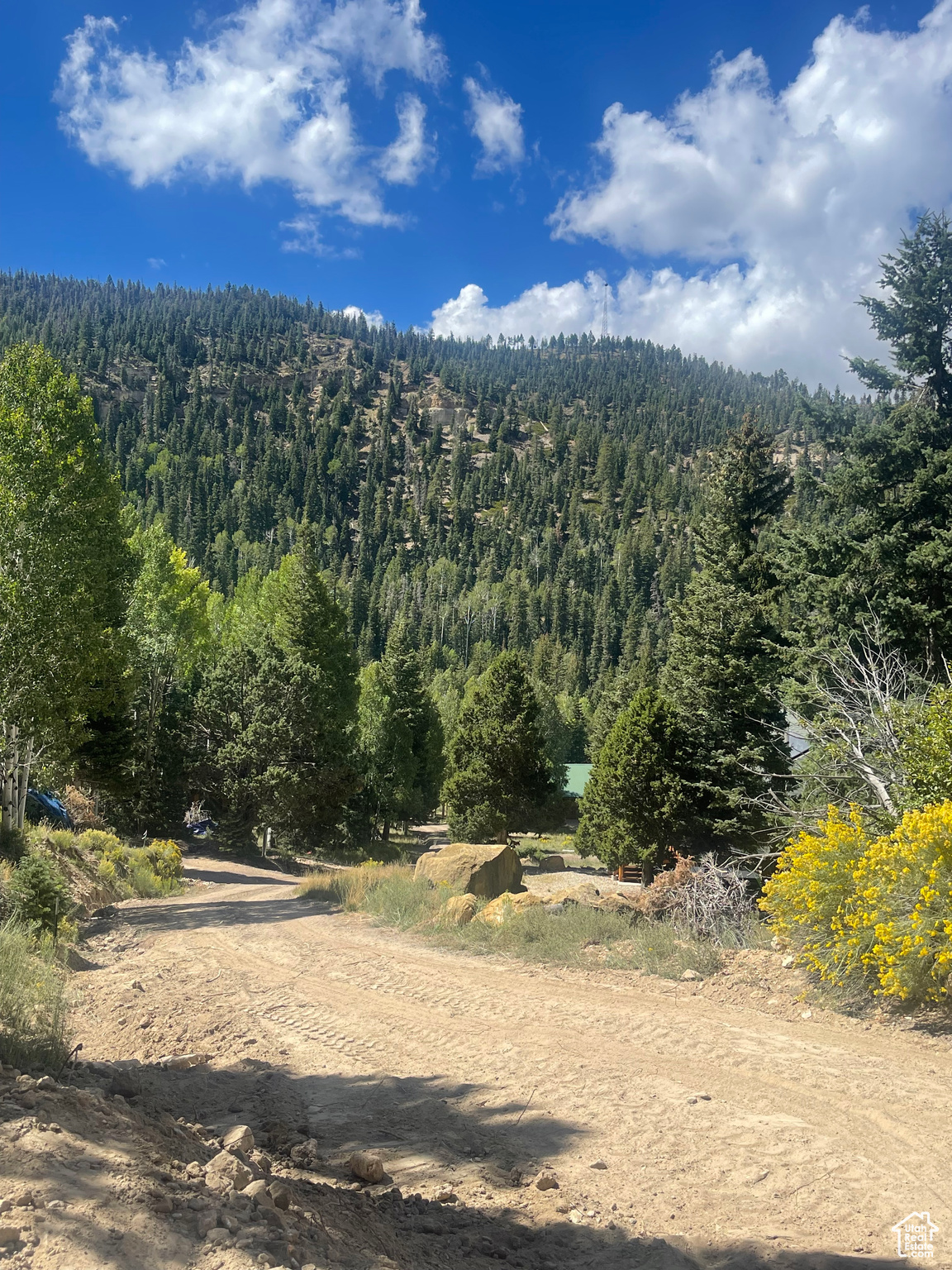 ASPEN MEADOW ESTATES - Land