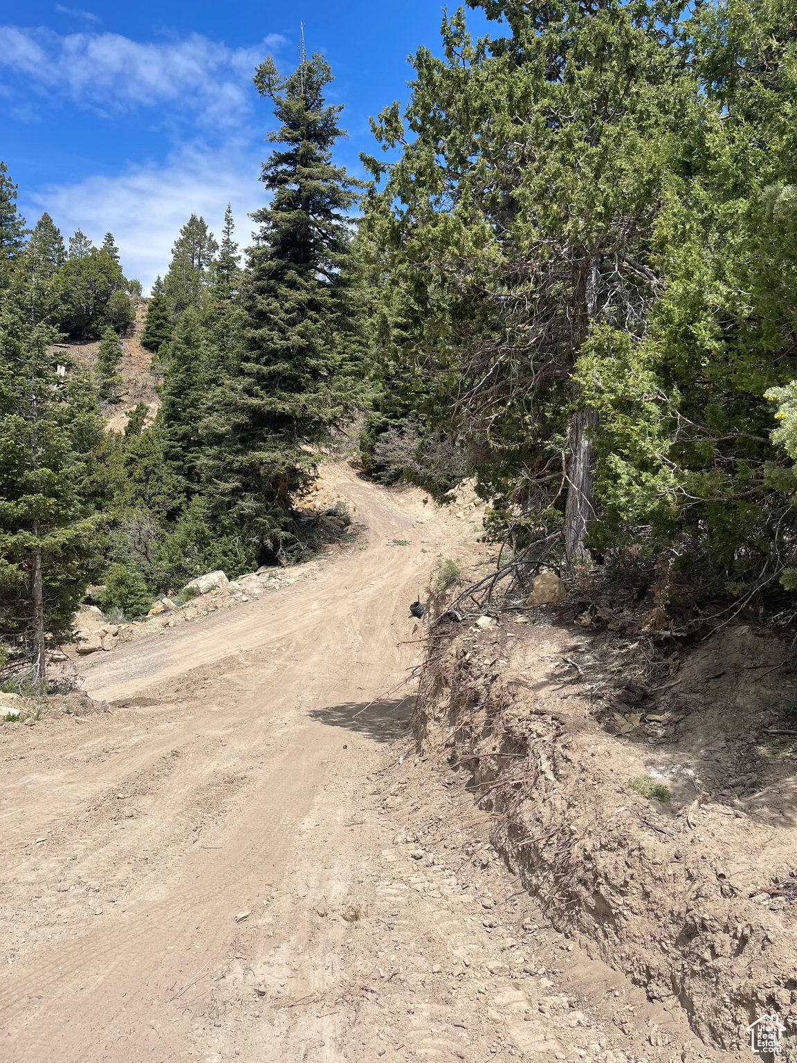 ASPEN MEADOW ESTATES - Land