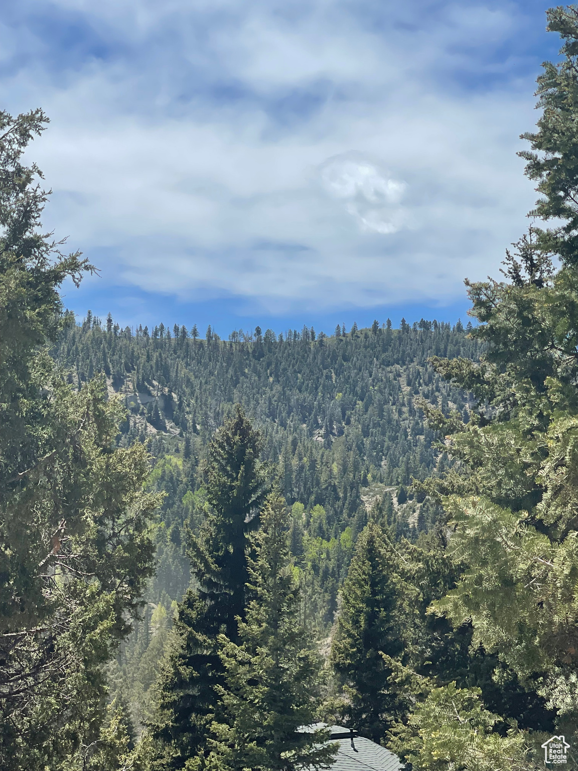 ASPEN MEADOW ESTATES - Land