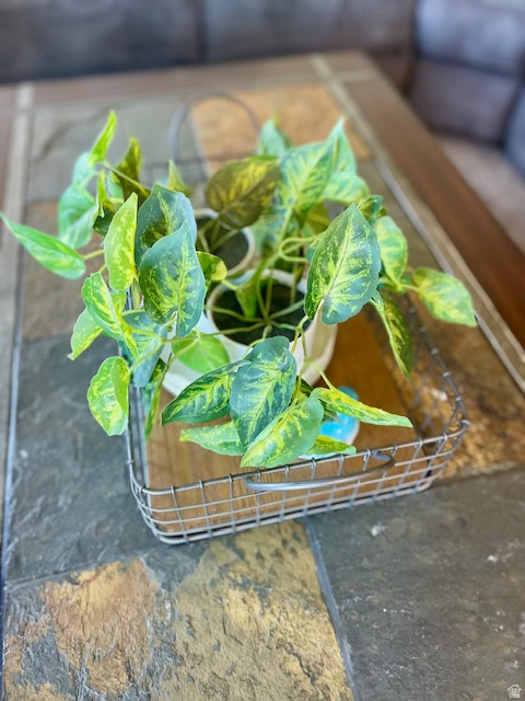 OAK RIDGE PARK - Residential