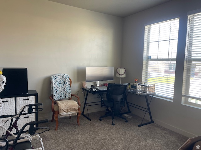 OAK RIDGE PARK - Residential