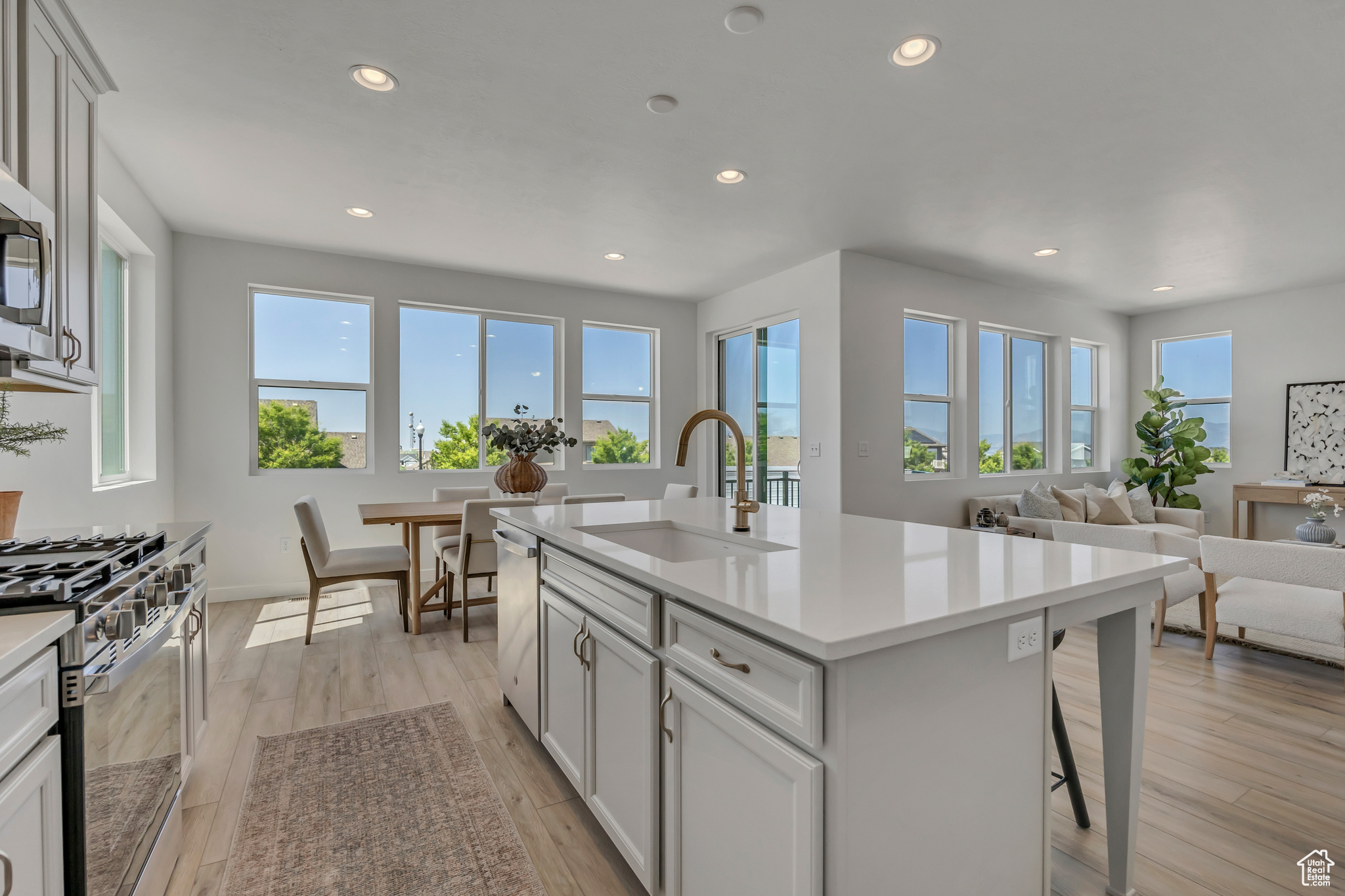 CASCADE AT SKY RANCH - Residential