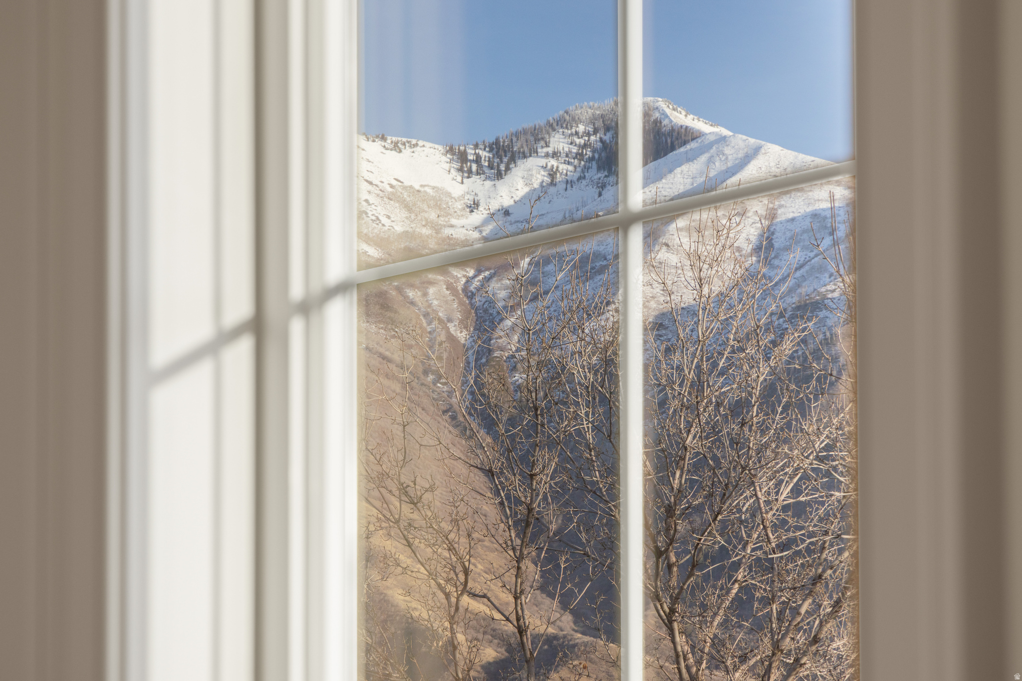 MAPLE LEAF COVE LOT 31 - Residential