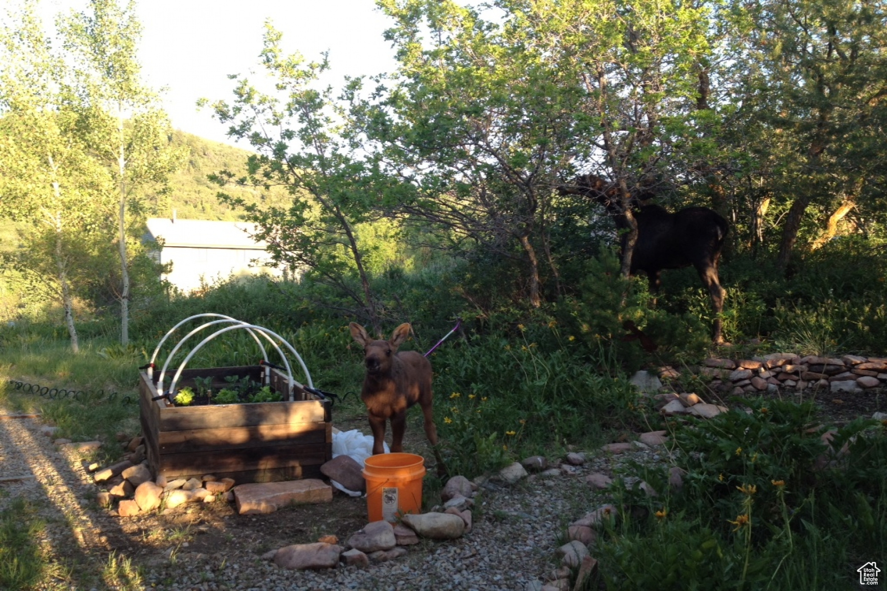 Park City, Utah 84098, United States, 3 Bedrooms Bedrooms, ,2 BathroomsBathrooms,Residential,Pending,184836