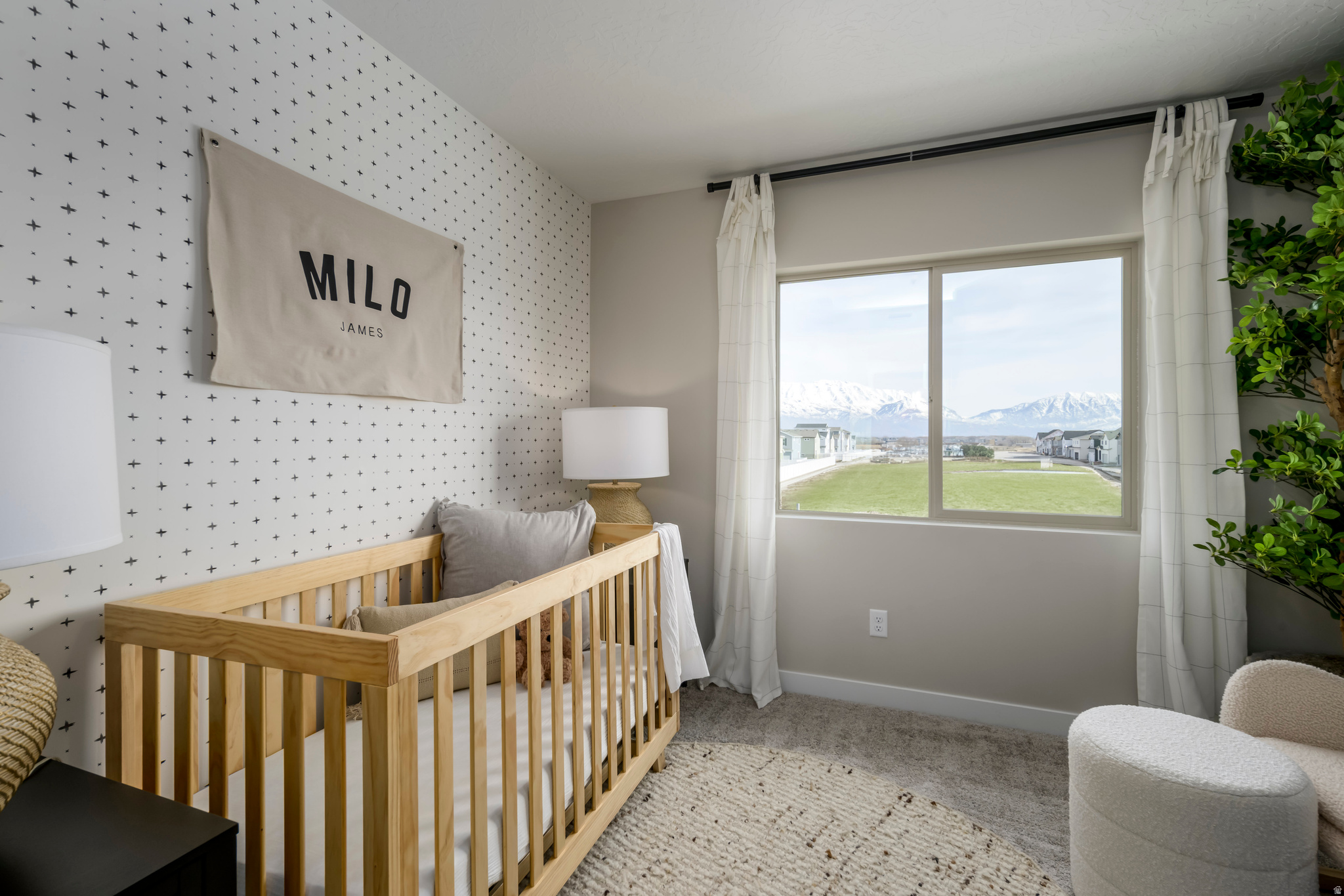 THE VALLEY AT WILDFLOWER - Residential