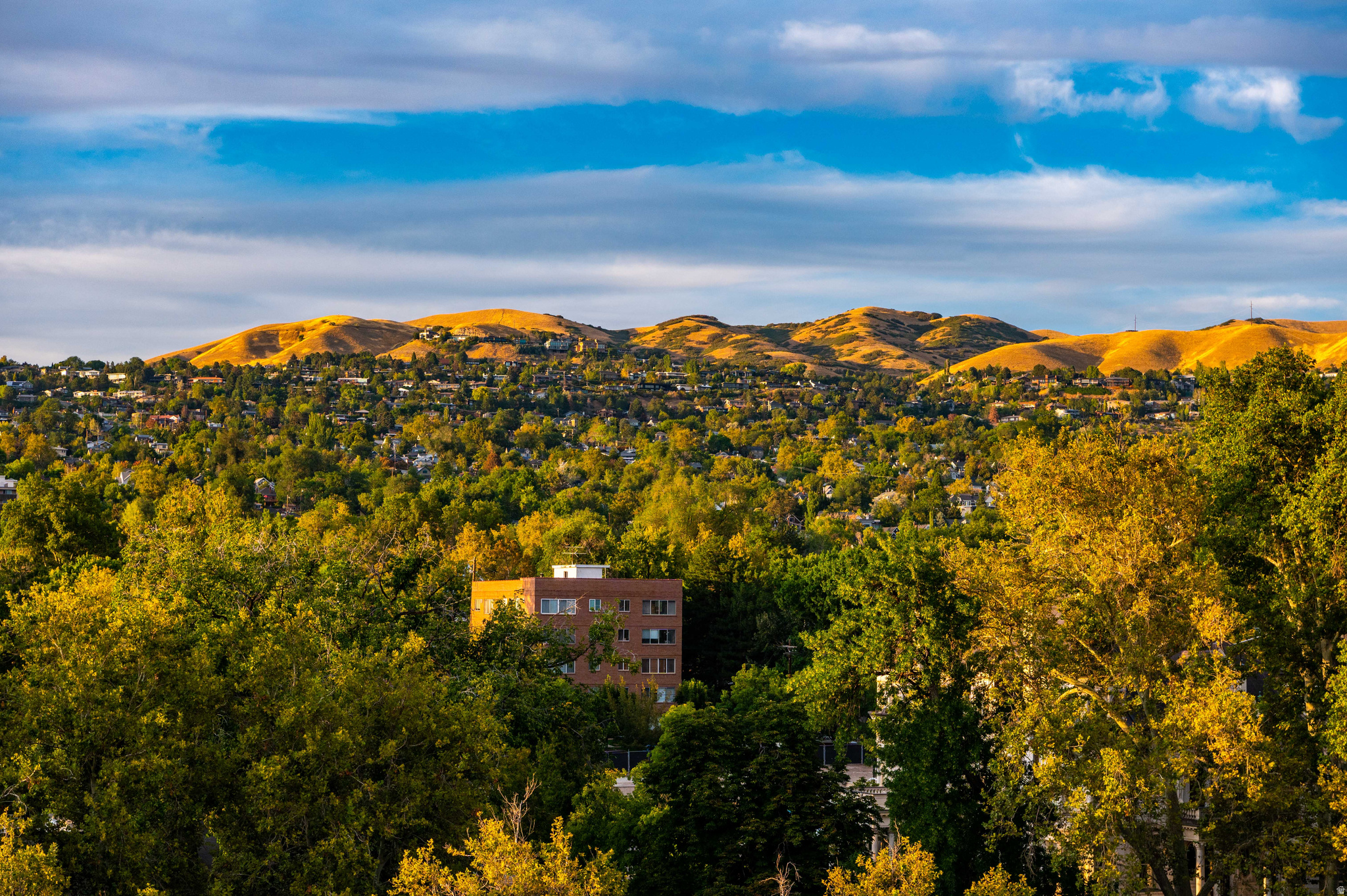 GOVERNORS PLAZA - Residential