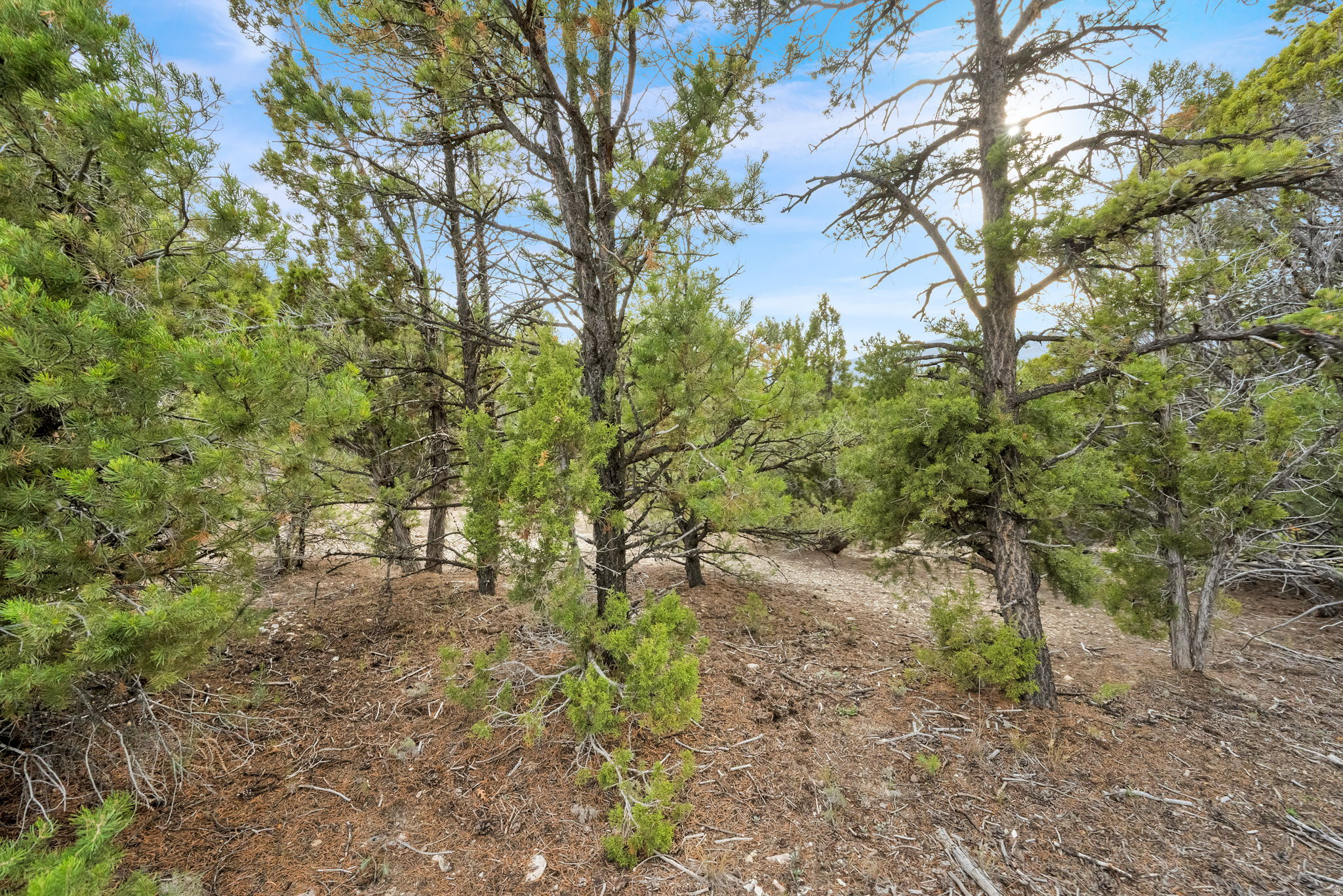 BLACKHAWK MOUNTAIN ESTATES - Land