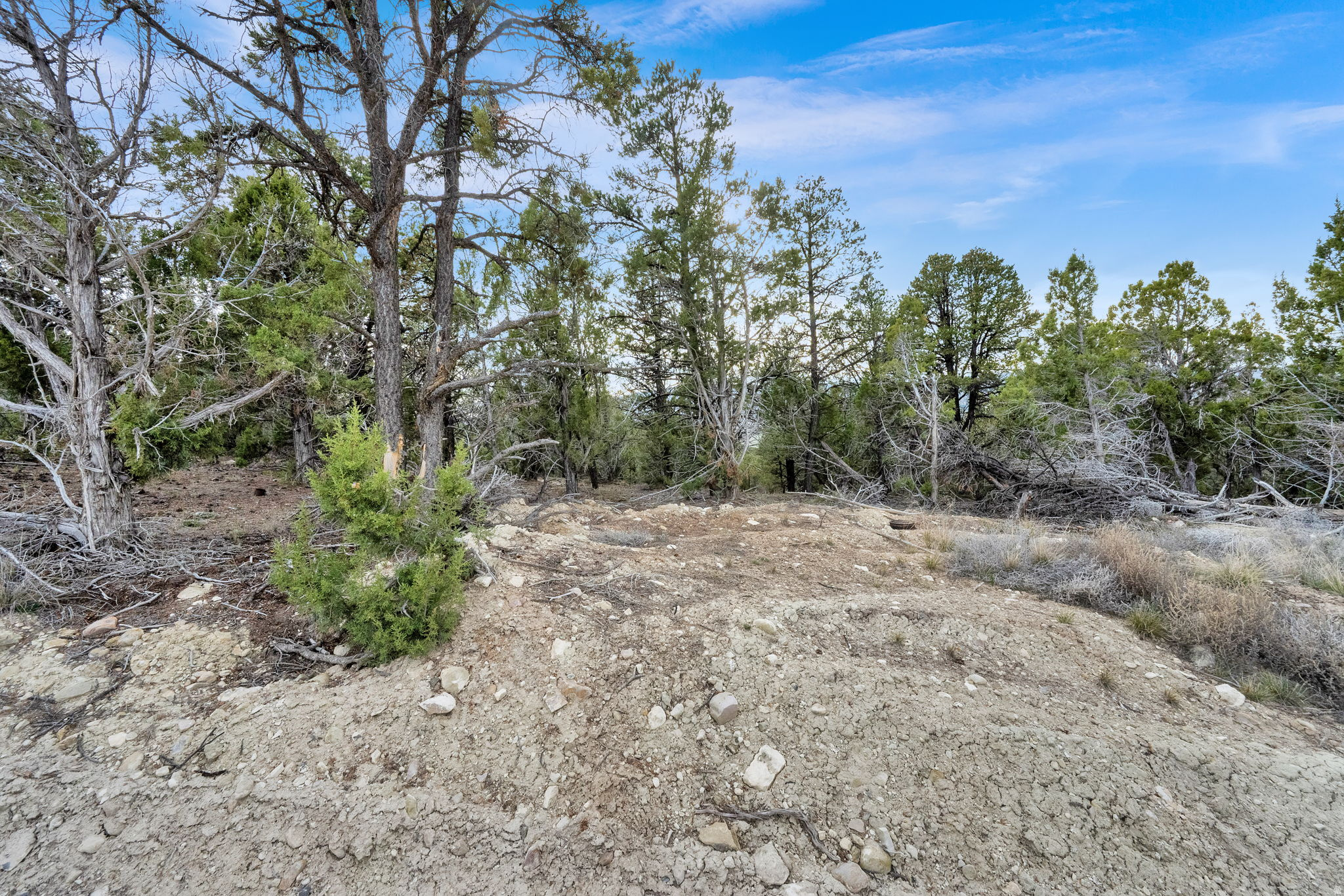 BLACKHAWK MOUNTAIN ESTATES - Land