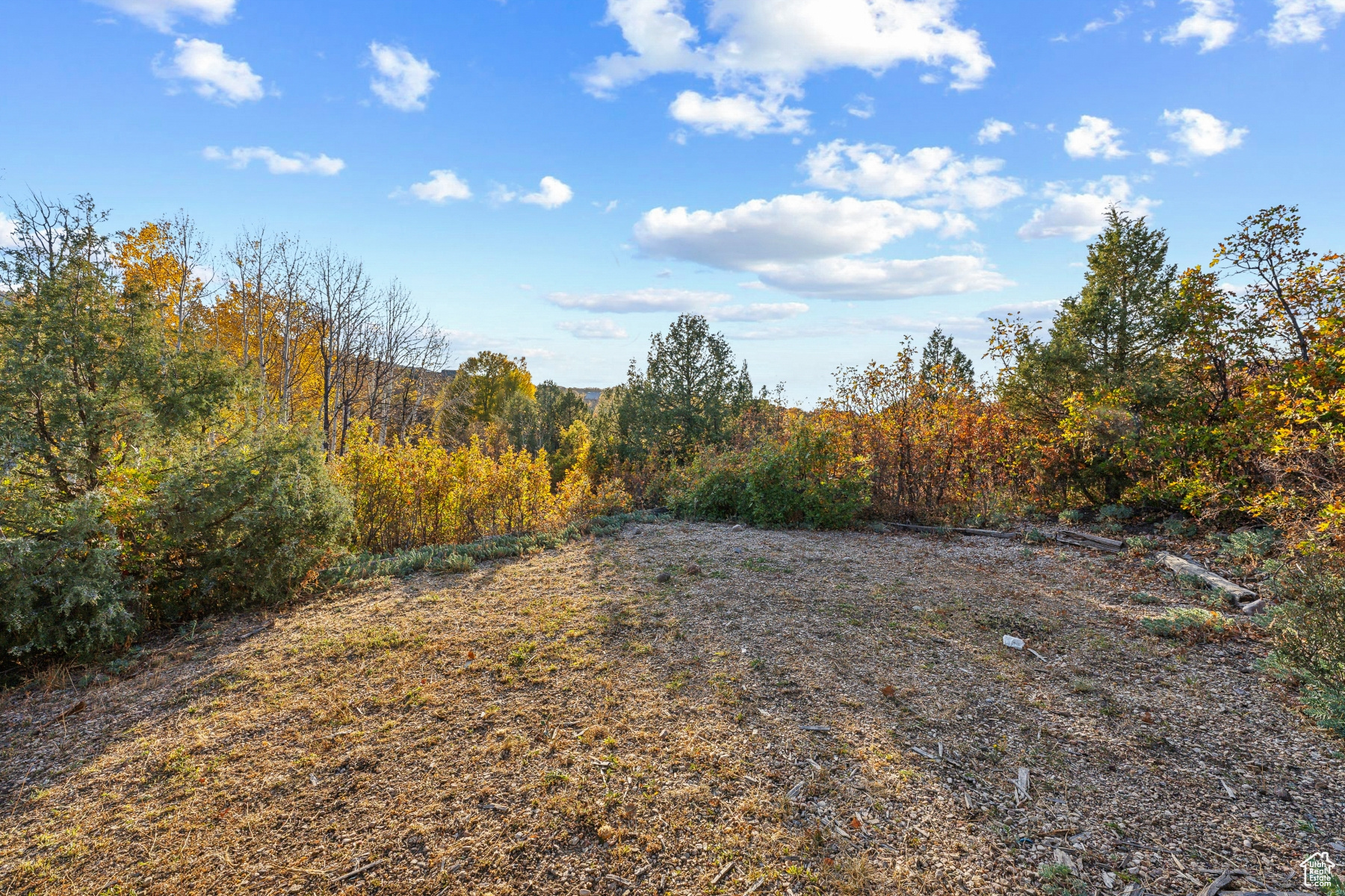 9641 Ridge Pine Rd #1121, Heber City, Utah image 35