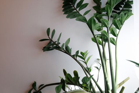 Tiny photo for 4656 WOODDUCK LN, Salt Lake City, UT 84117 (MLS # 2118800)