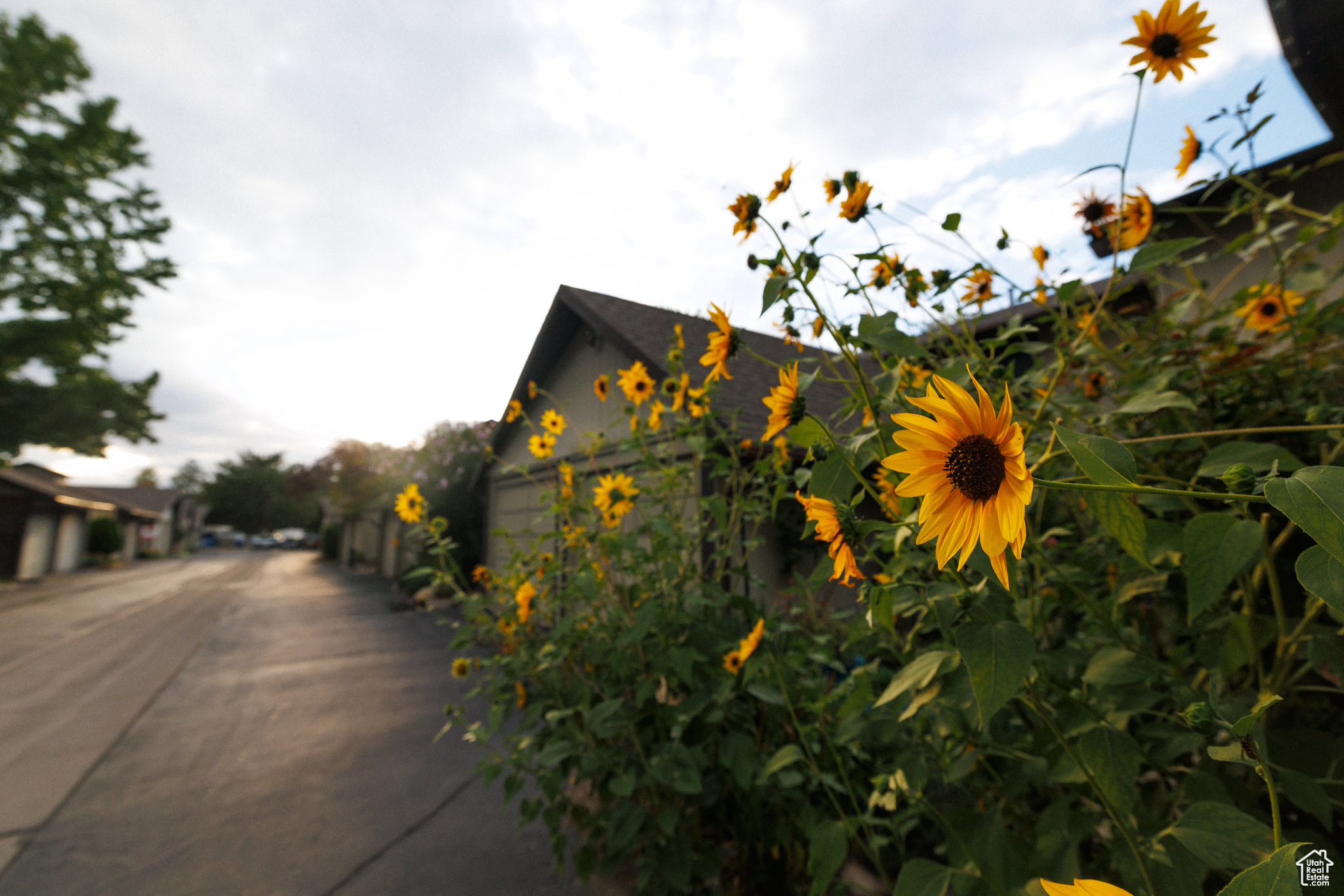 HIDDEN LAKE - Residential