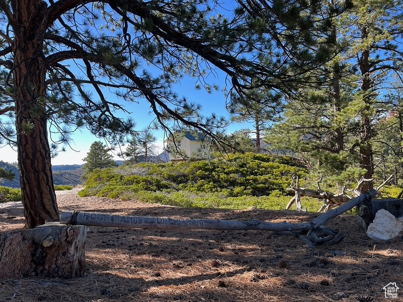 DEER SPRINGS RANCH PLAT C - Land