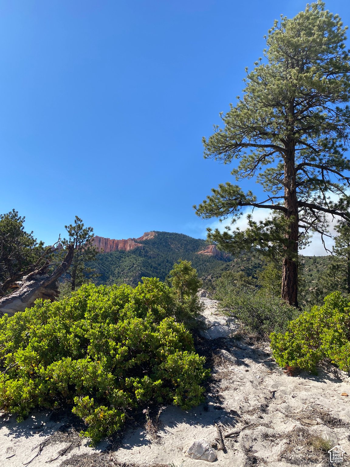 DEER SPRINGS RANCH PLAT C - Land