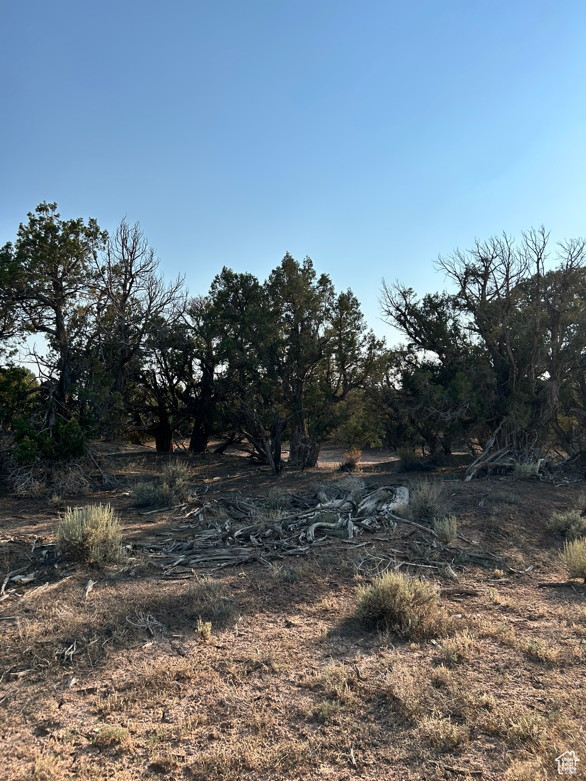 SUNDANCE WEST - Land