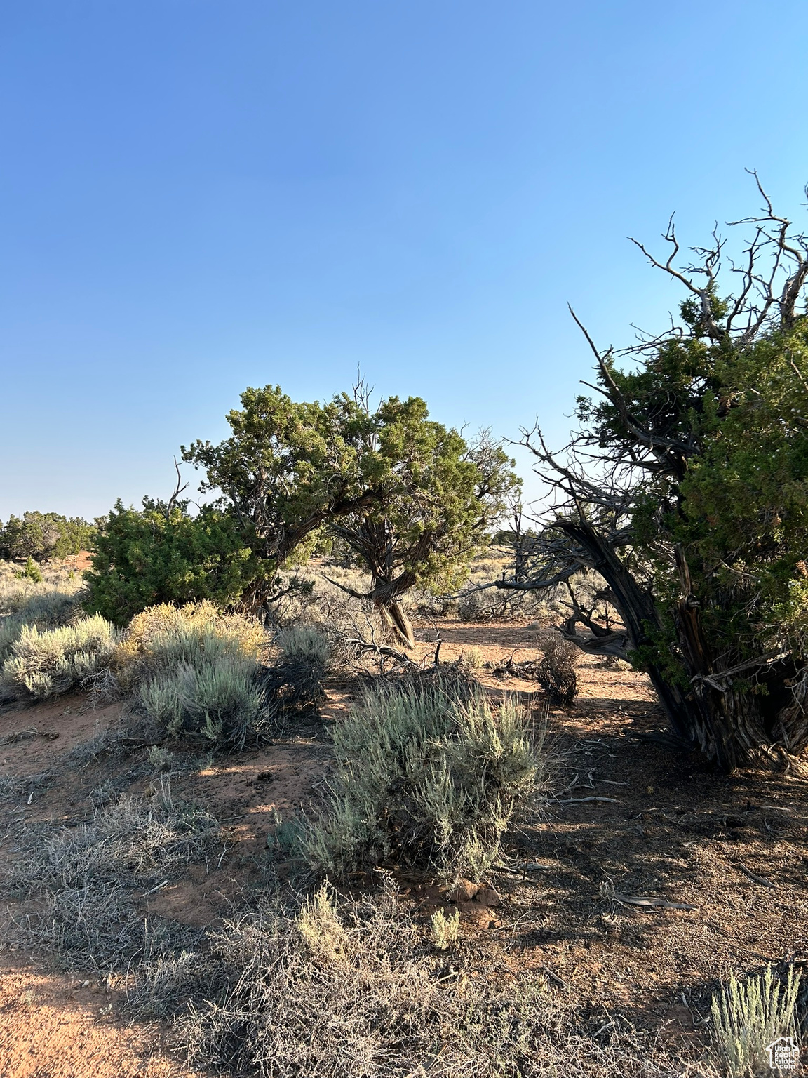 SUNDANCE WEST - Land