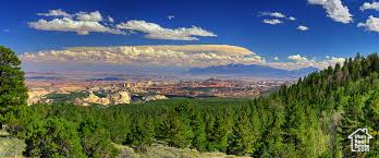 1070 E Tabby Access Rd, Tabiona, Utah image 16