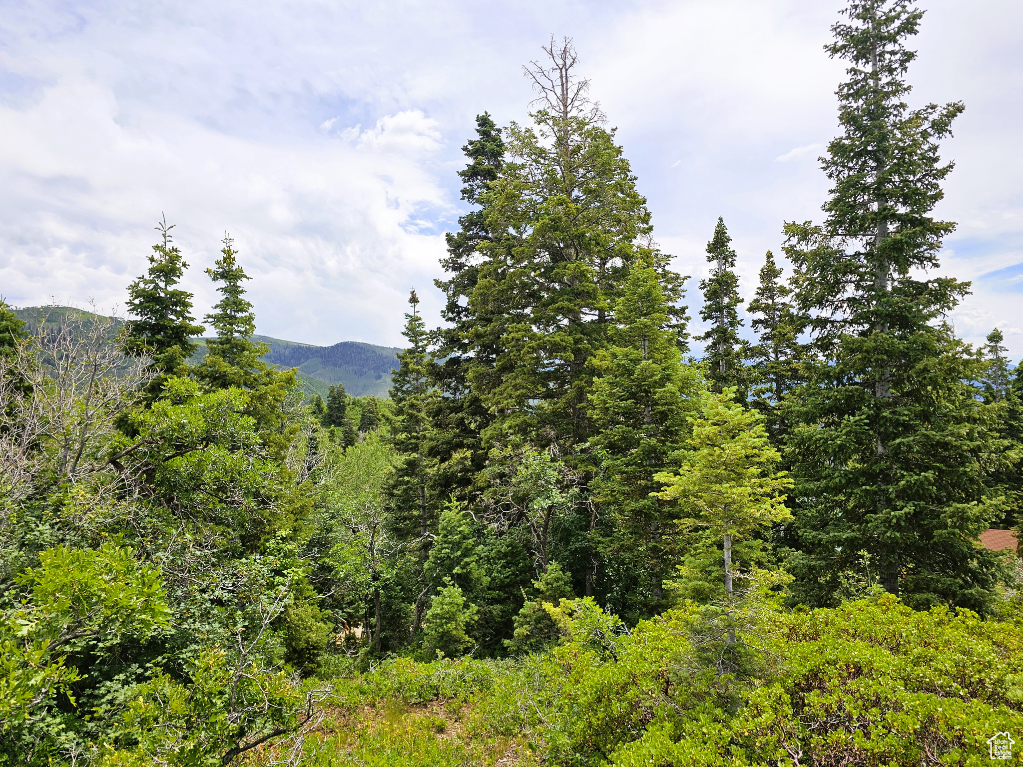 80 Hidden Valley Dr #K80, Fairview, Utah image 9