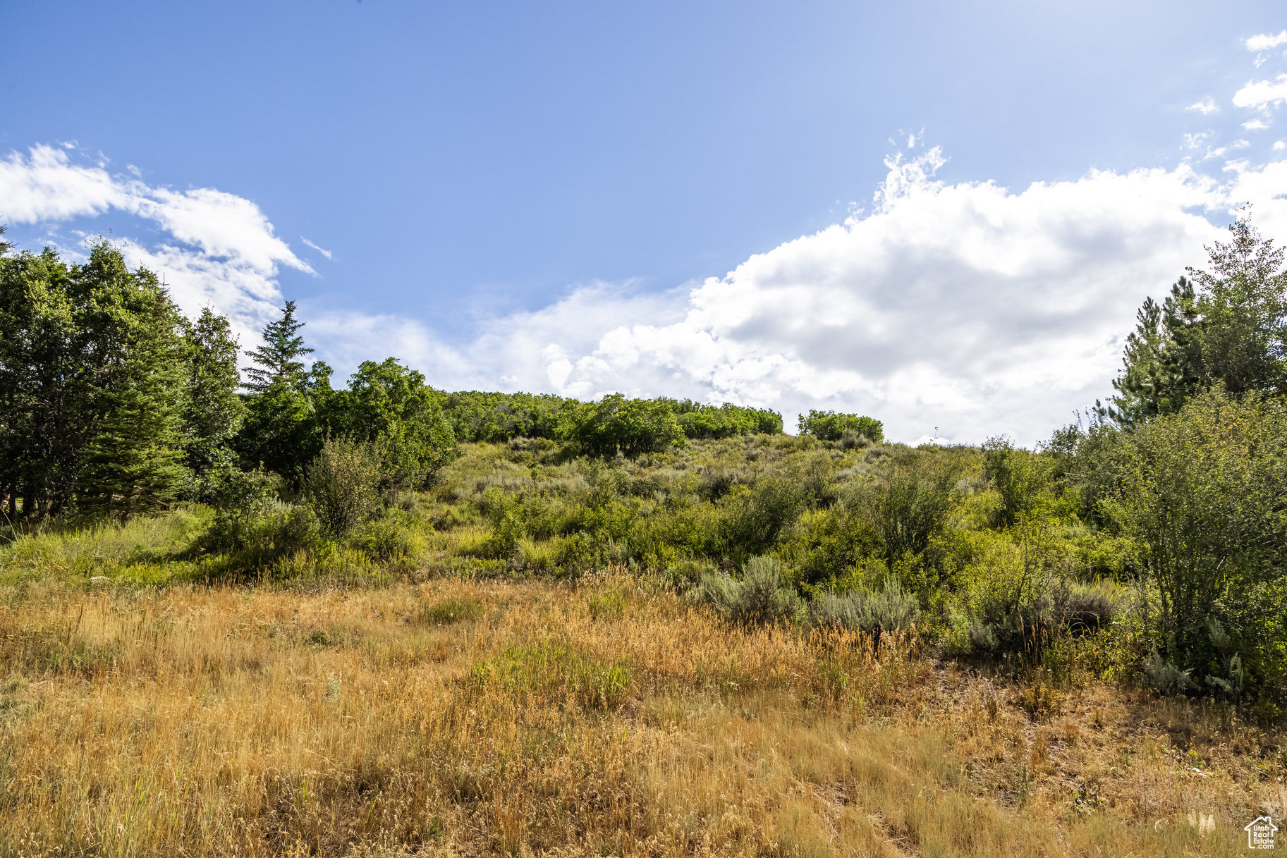 9006 Daybreaker Dr, Park City, Utah image 9