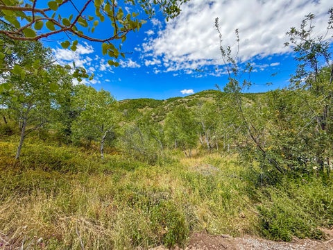 Tiny photo for 1948 MOOSE HOLW, Coalville, UT 84017 (MLS # 2171692)