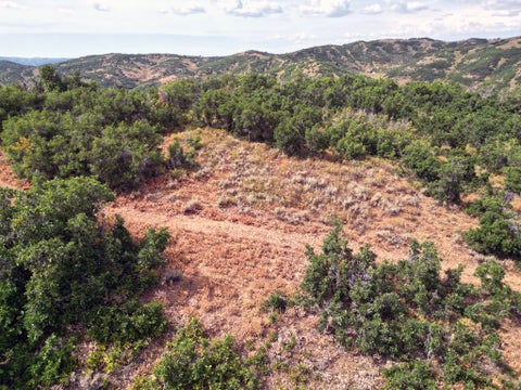 Tiny photo for 1948 MOOSE HOLW, Coalville, UT 84017 (MLS # 2171692)
