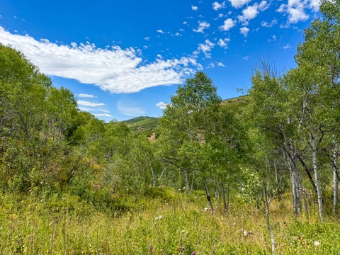 Tiny photo for 1948 MOOSE HOLW, Coalville, UT 84017 (MLS # 2171692)