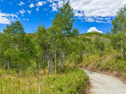 Tiny photo for 1948 MOOSE HOLW, Coalville, UT 84017 (MLS # 2171692)