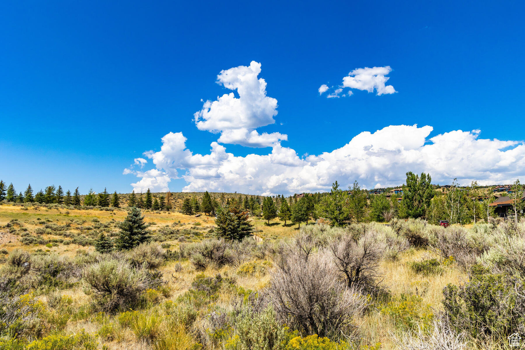WEST VIEW - Land