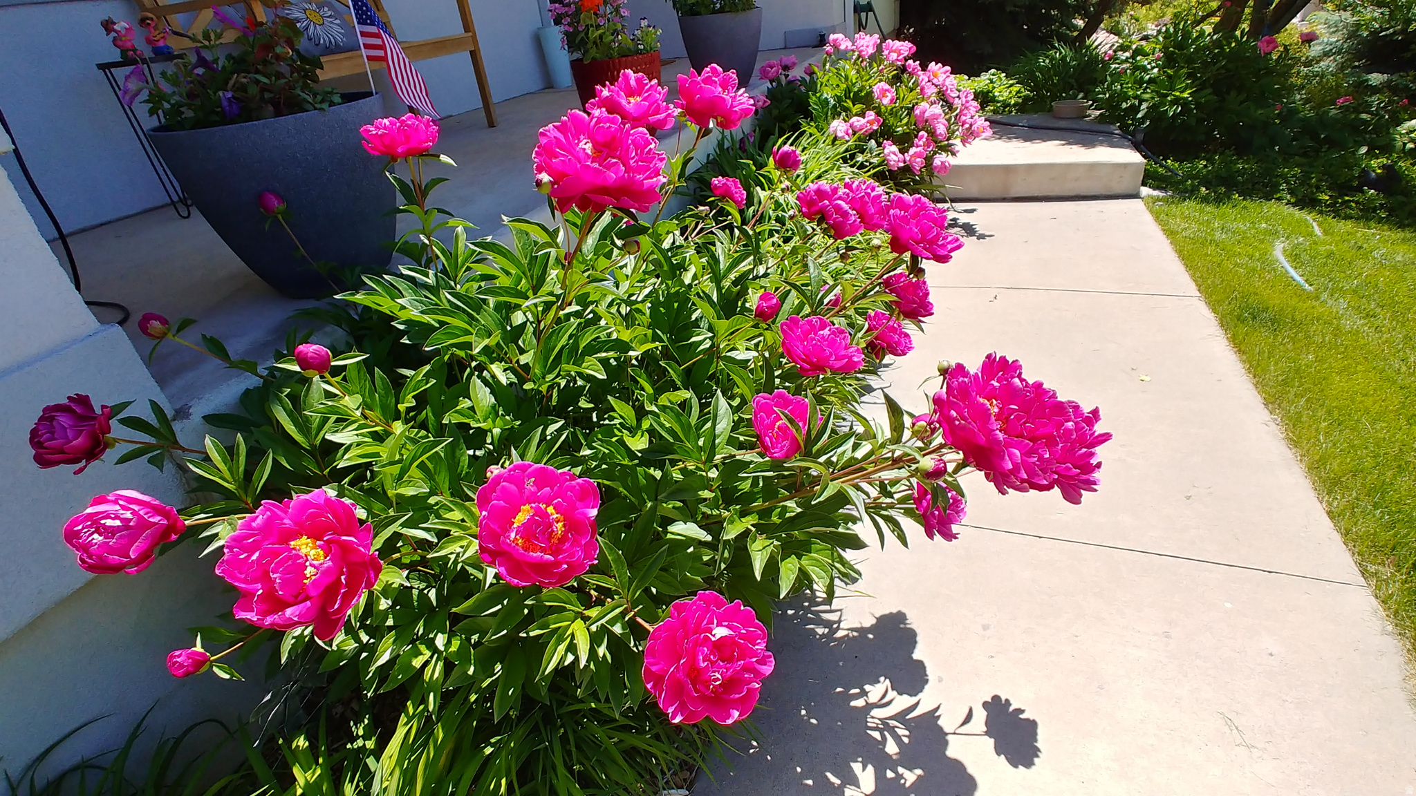 CANYON RIDGE SUBDIVISION PHASE 2 - Residential