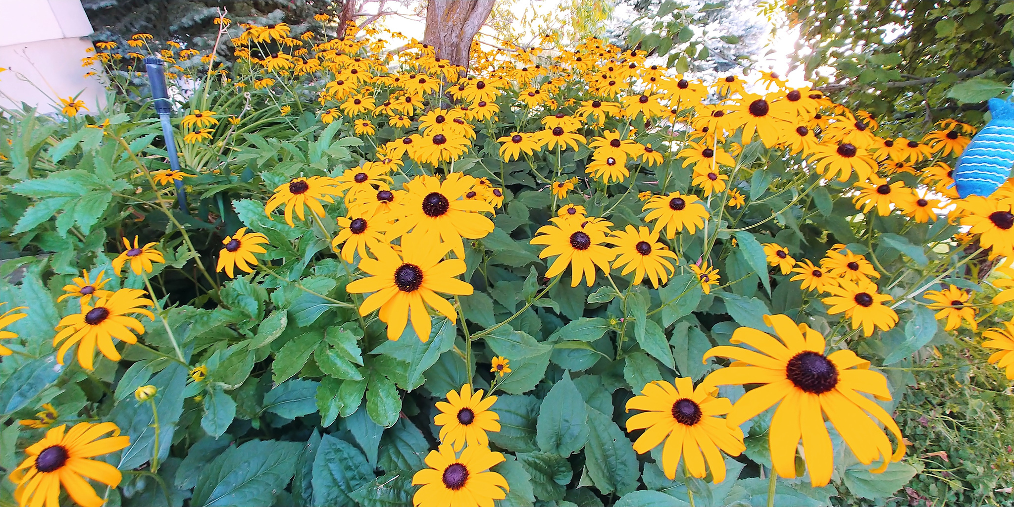 CANYON RIDGE SUBDIVISION PHASE 2 - Residential