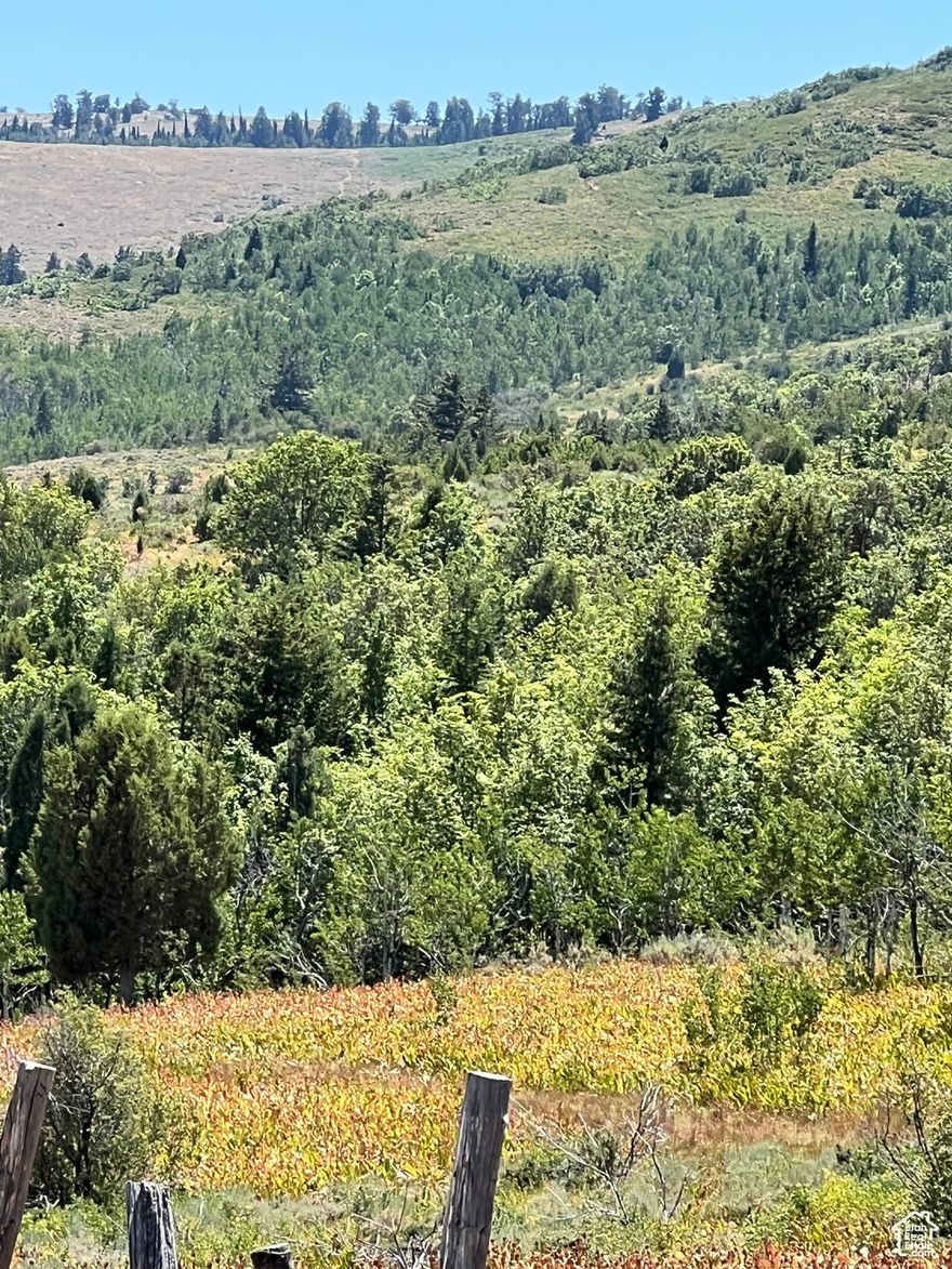 AMAZING PROPERTY WITH SPRING! would make a great pasture property with crops. great for RV camping, Beautiful peaceful property. It boarders Caribou National Forest on the West and State ground on the North. BLM on the South. Trails for utv riding. Must see!