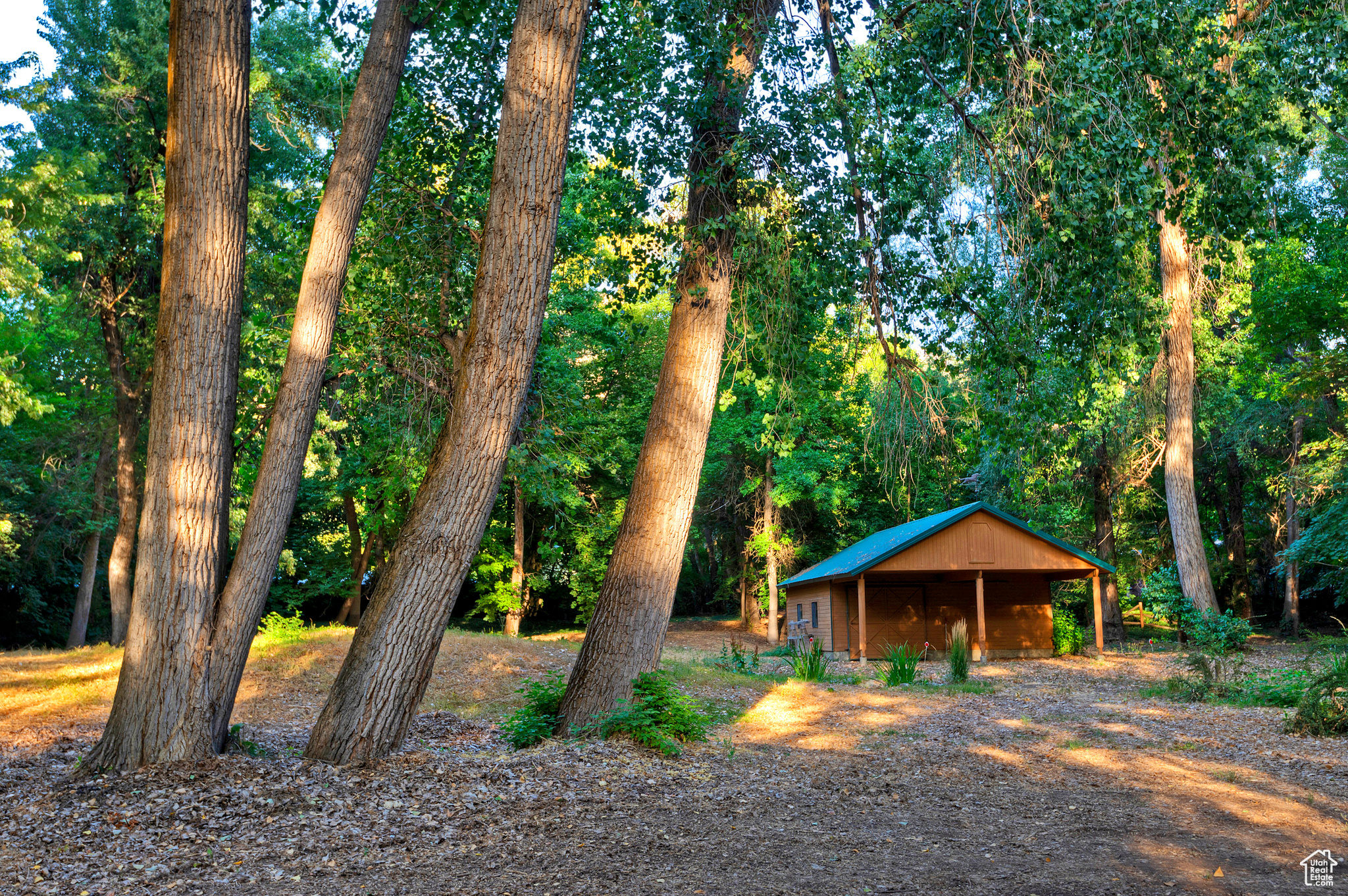 Holladay, Utah 84117, United States, 7 Bedrooms Bedrooms, ,7 BathroomsBathrooms,Residential,Active,89672