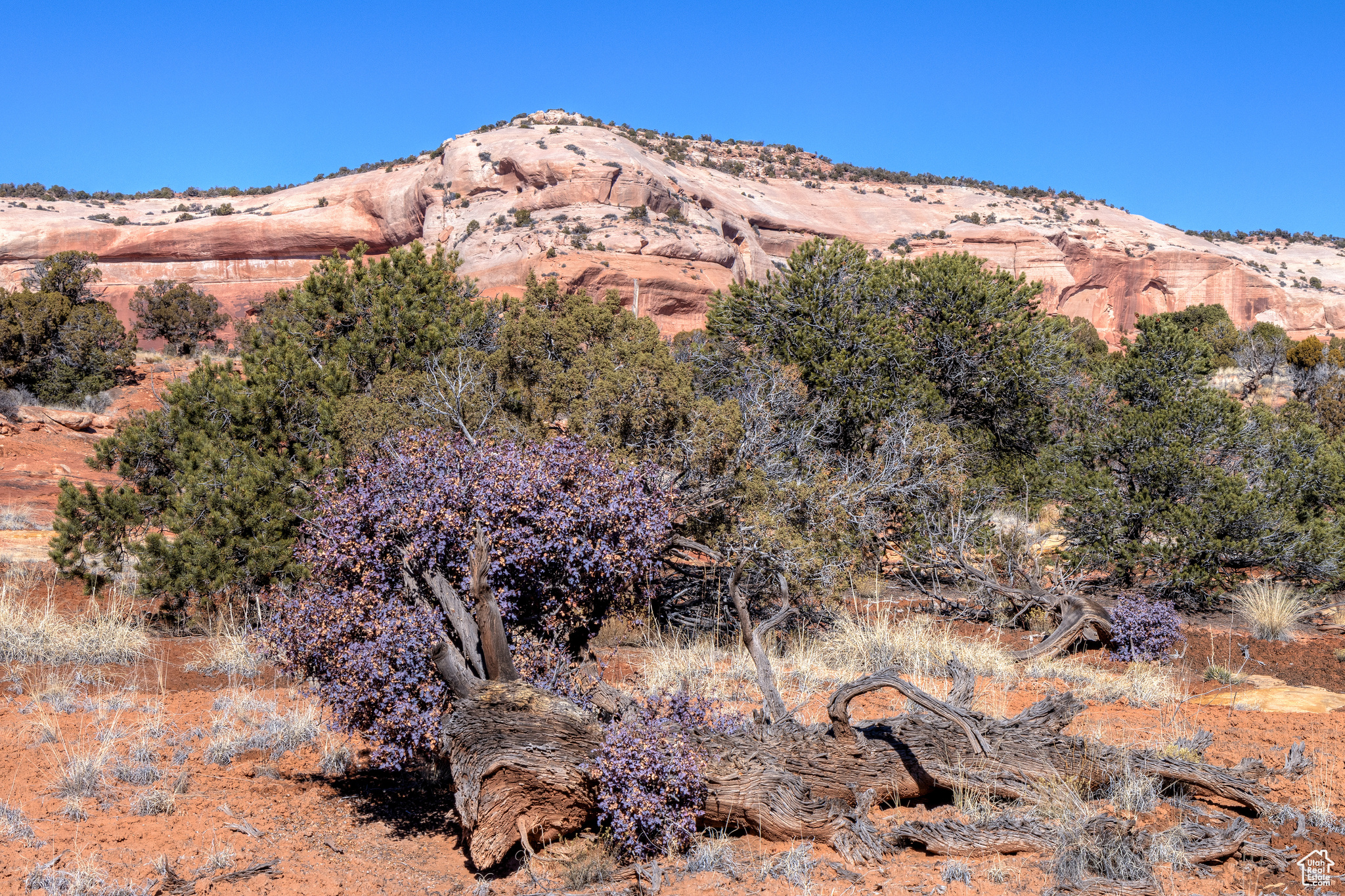 WILSON ARCH RESORT - Commercial Sale