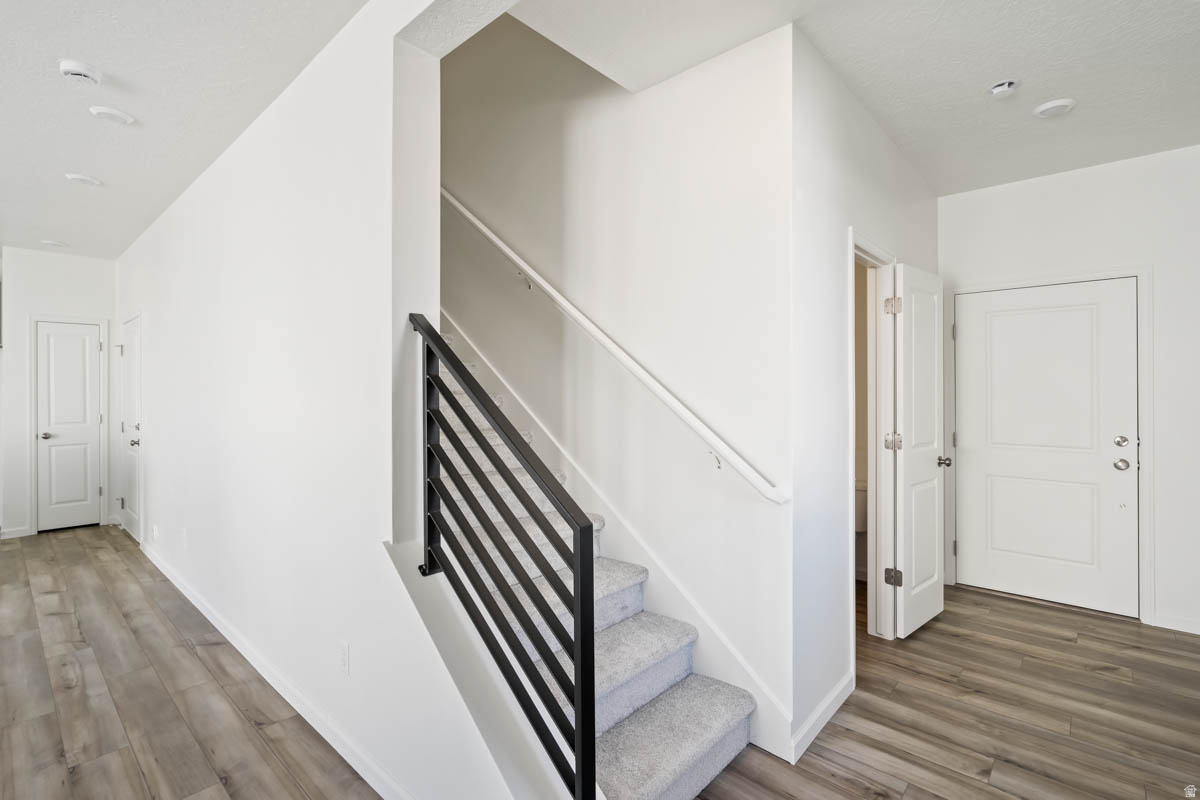 WANDER - Residential