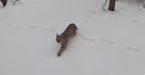 Tiny photo for 45 OAK CREST DR, Mt Pleasant, UT 84647 (MLS # 2120866)