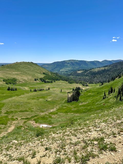 Tiny photo for 45 OAK CREST DR, Mt Pleasant, UT 84647 (MLS # 2120866)