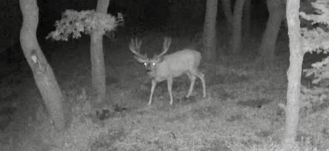 Tiny photo for 45 OAK CREST DR, Mt Pleasant, UT 84647 (MLS # 2120866)