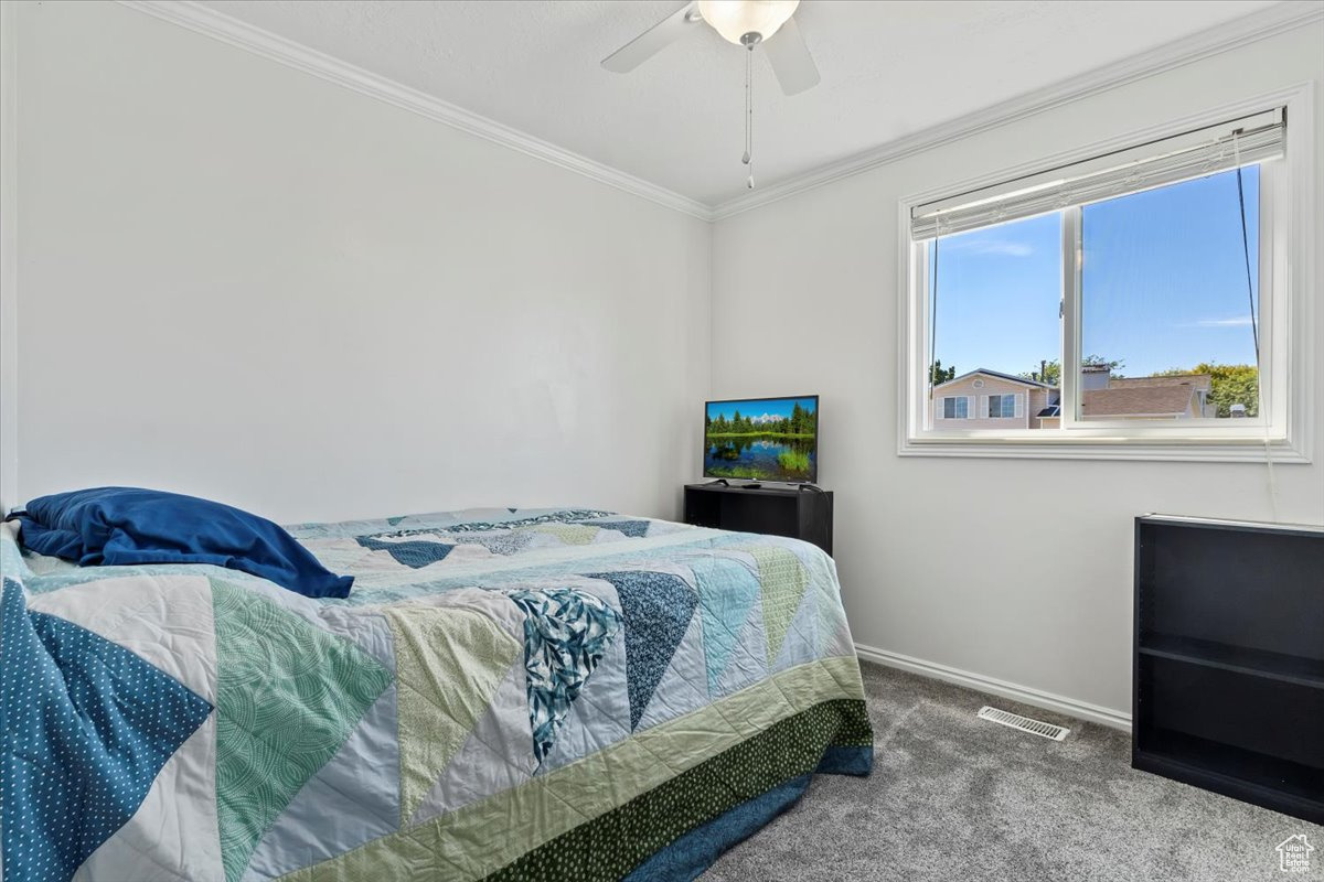 SUNTREE MEADOWS - Residential